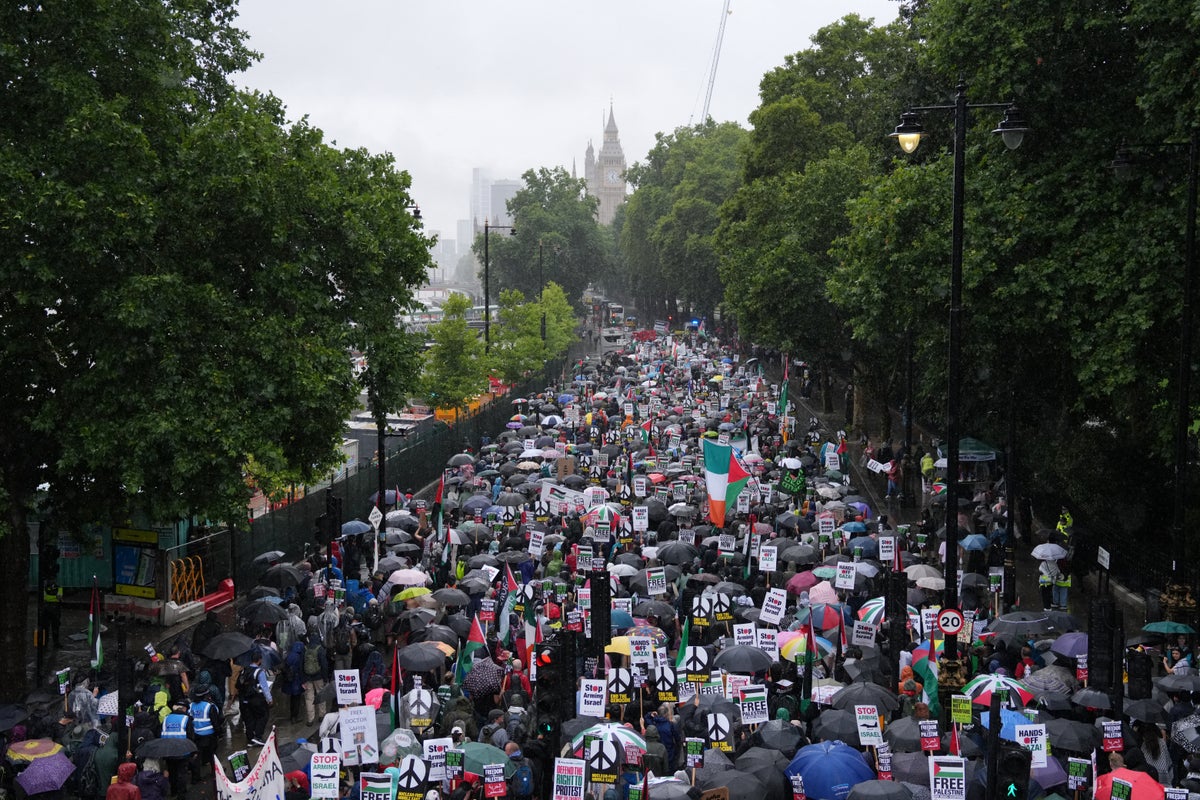 Hundreds brave torrential rain for Palestine solidarity protest in London