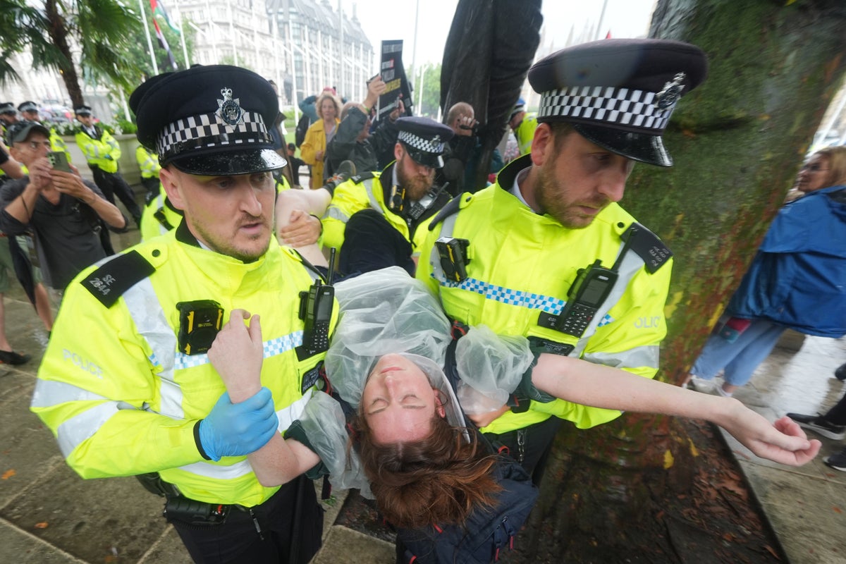 Watch: Police remove protesters at Palestine Action solidarity demonstration