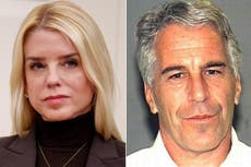 Pam Bondi ‘could have tried Epstein’ while Florida AG, law professor says