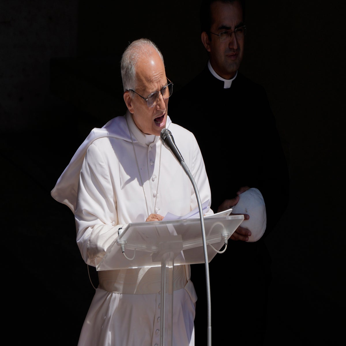 Pope Leo XIV