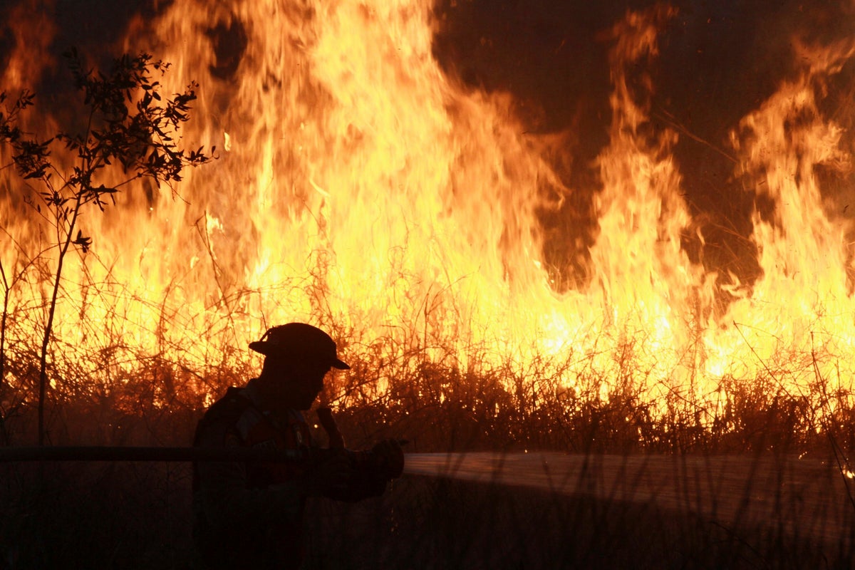 Forest fire haze from Indonesia detected in Malaysia