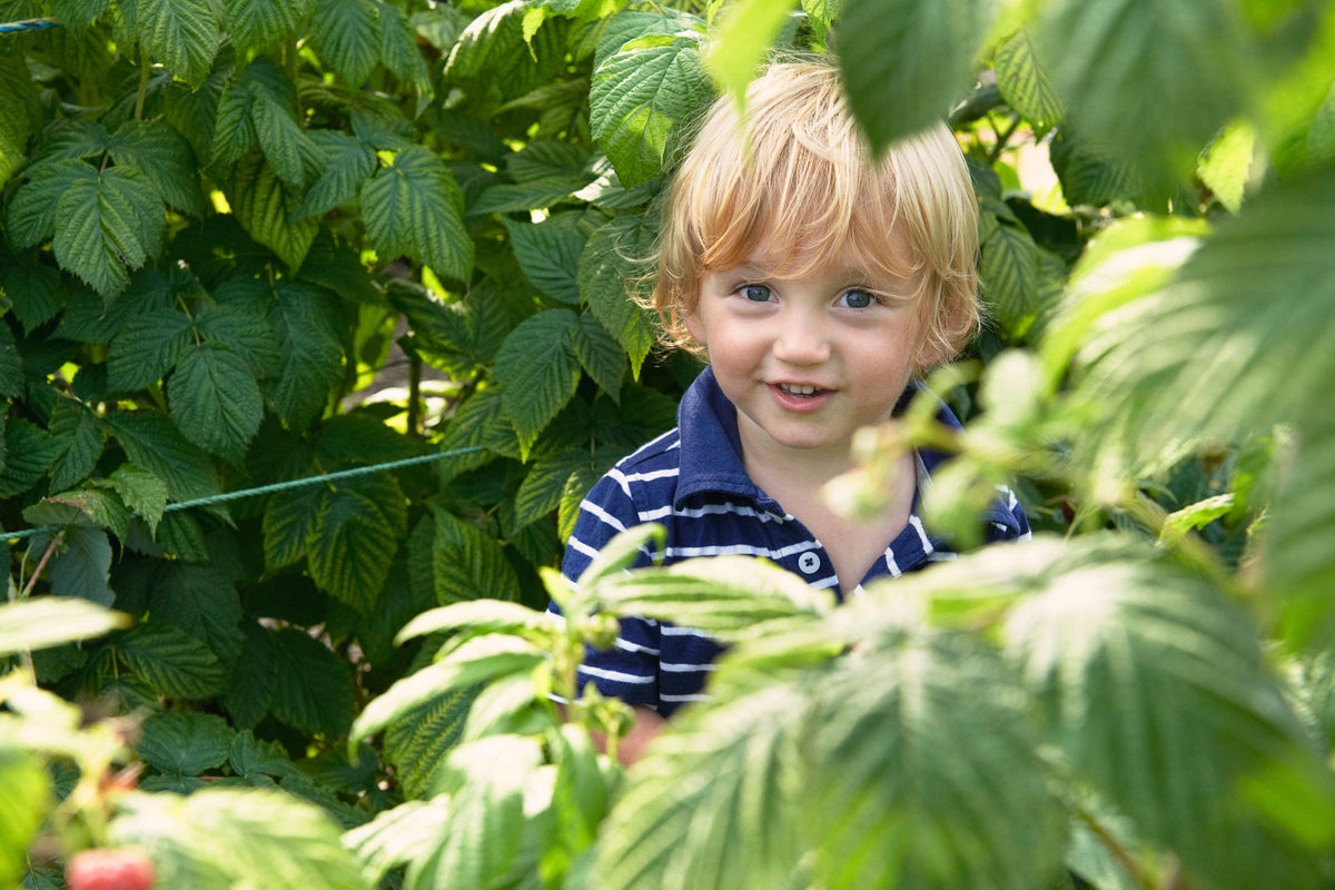 How to turn your kids into garden explorers this summer