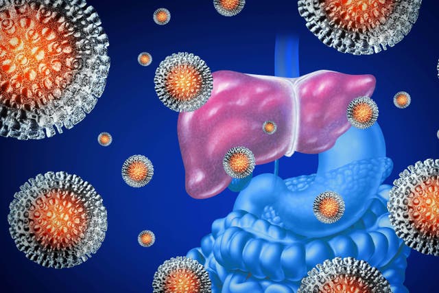 <p>Scientists have developed a tool which allows you to detect your risk of liver disease within seconds </p>