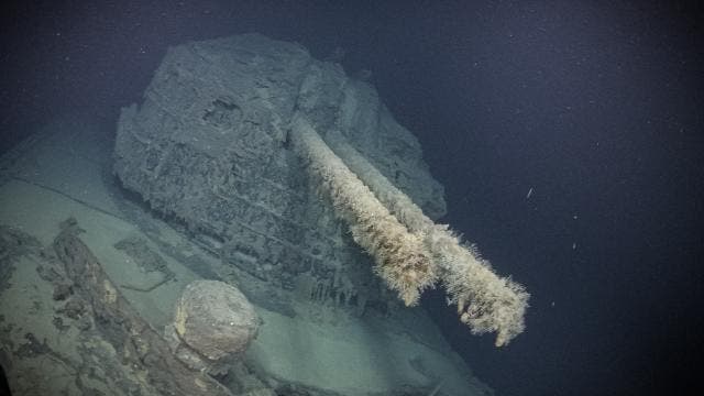 <p>Wreck of WWII Japanese naval destroyer Teruzuki</p>