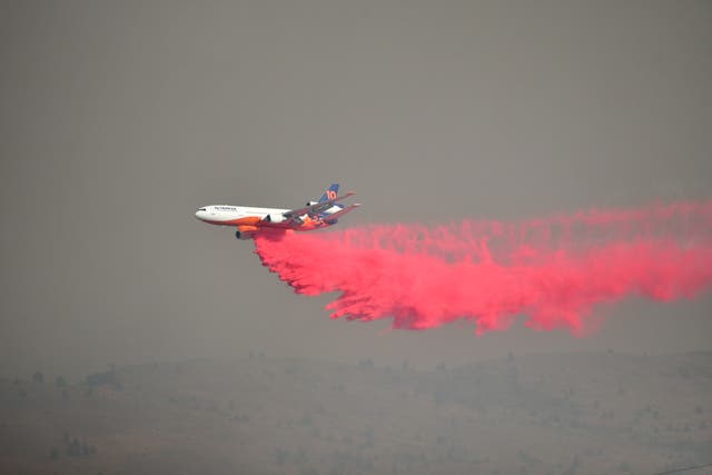 <p>Oregon fire could swell to 'megafire' status if containment not reached</p>