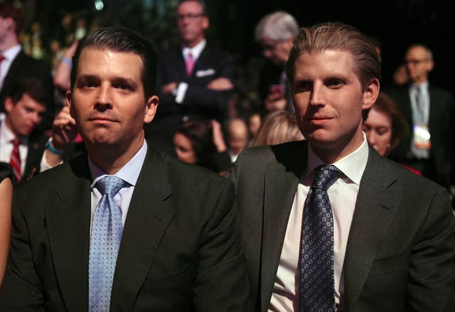 <p>Donald Trump, Jr. and brother Eric Trump are entitled to round-the-clock Secret Service protection and a recent trip to the Middle East cost taxpayers </p>