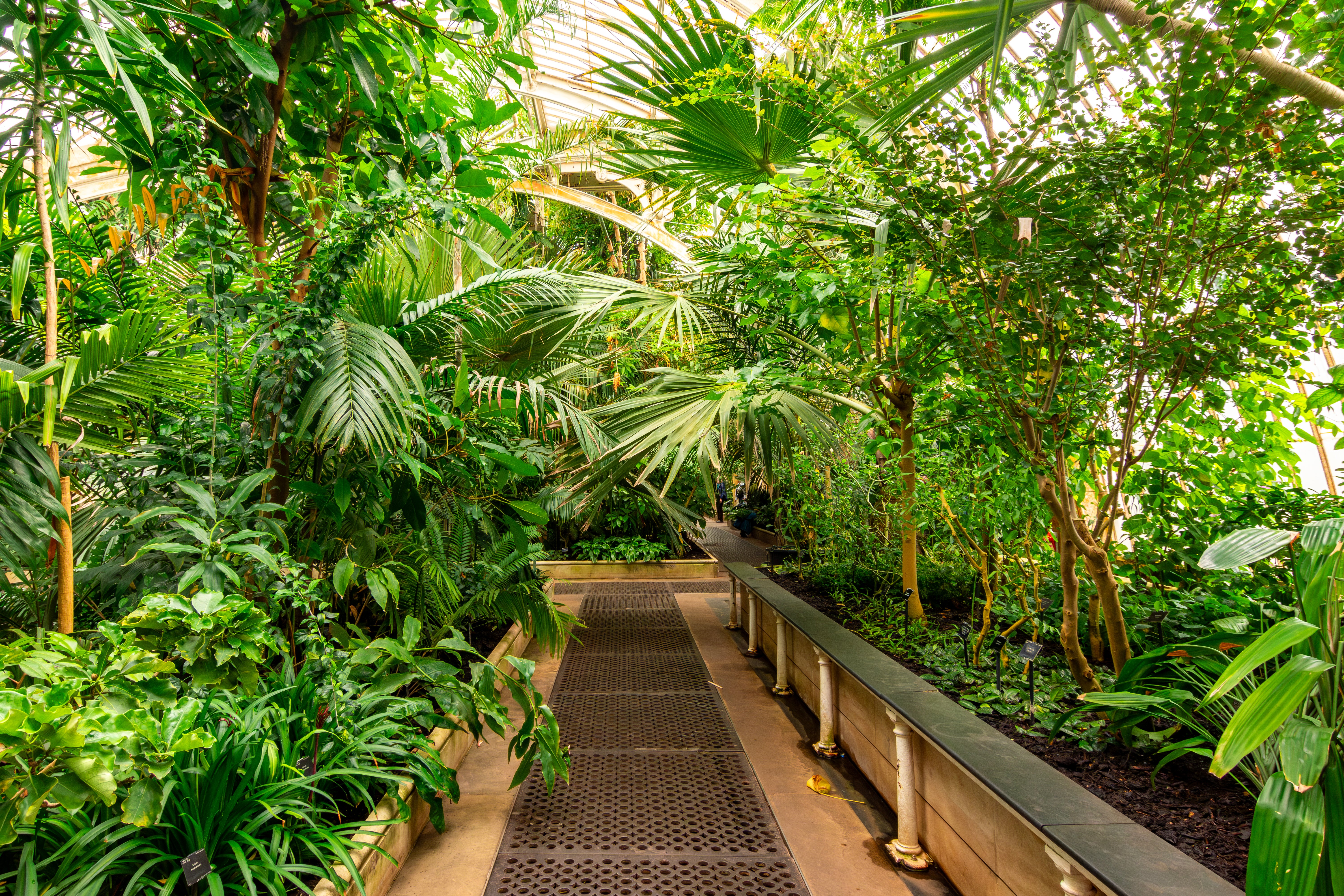 Around 1,300 plants will need to be temporarily rehomed.