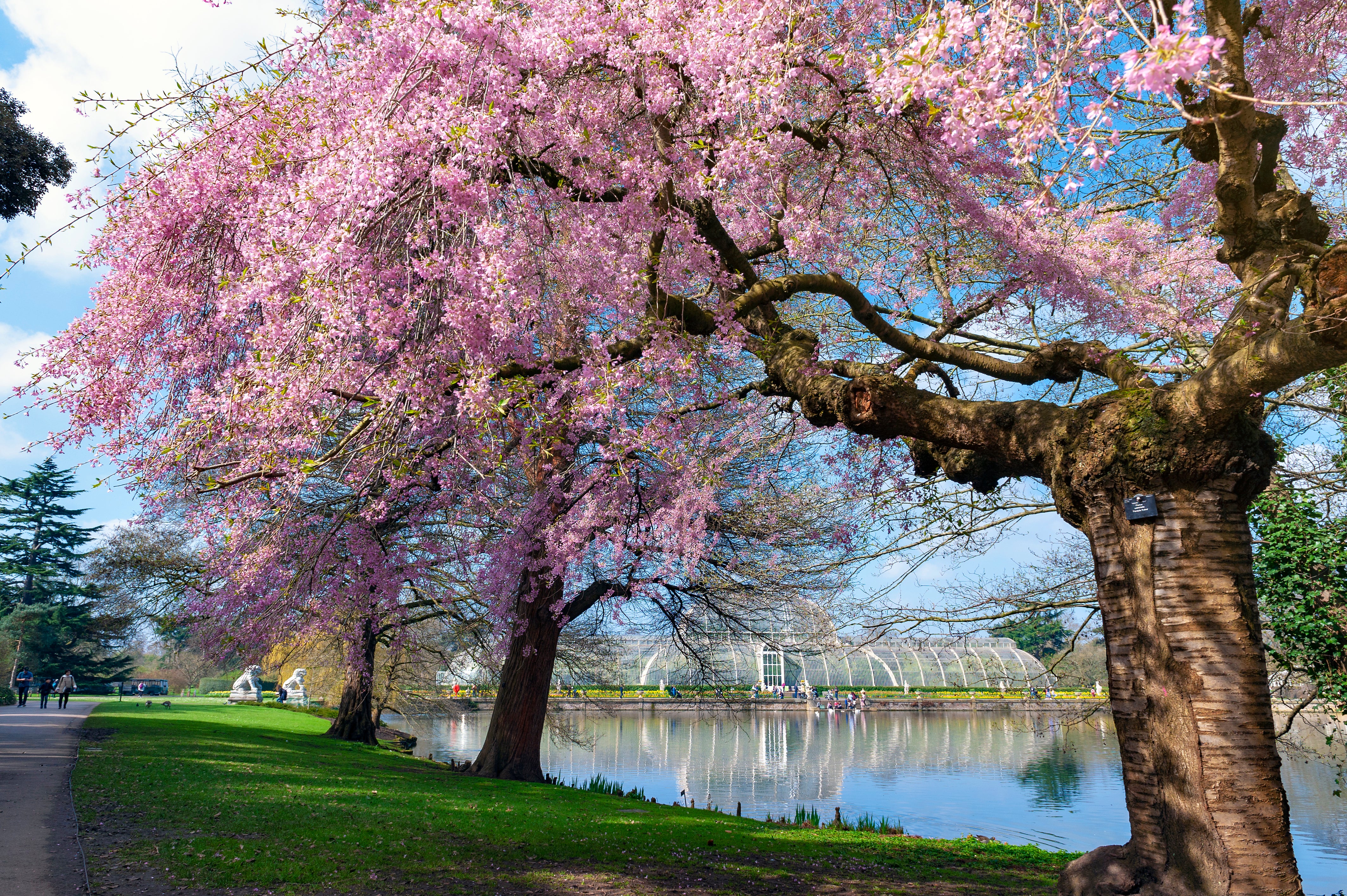It’s easy to forget you are still in London while visiting Kew.