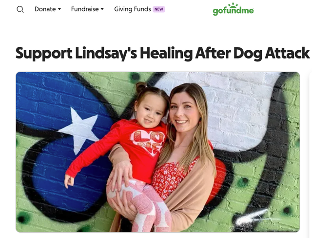 <p>Six-year-old Lily Goligowski has been hailed a hero for calling 911 and saving her mother’s life as she was being attacked by two dogs. </p>