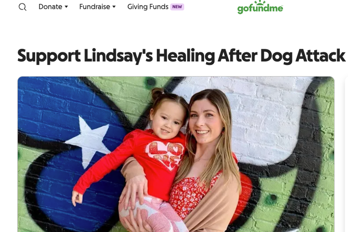 6-year-old calls 911 to help mom after two pit bulls attacked: ‘She definitely saved her mom’s life’