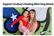 6-year-old calls 911 to help mom after two pit bulls attacked: ‘She definitely saved her mom’s life’