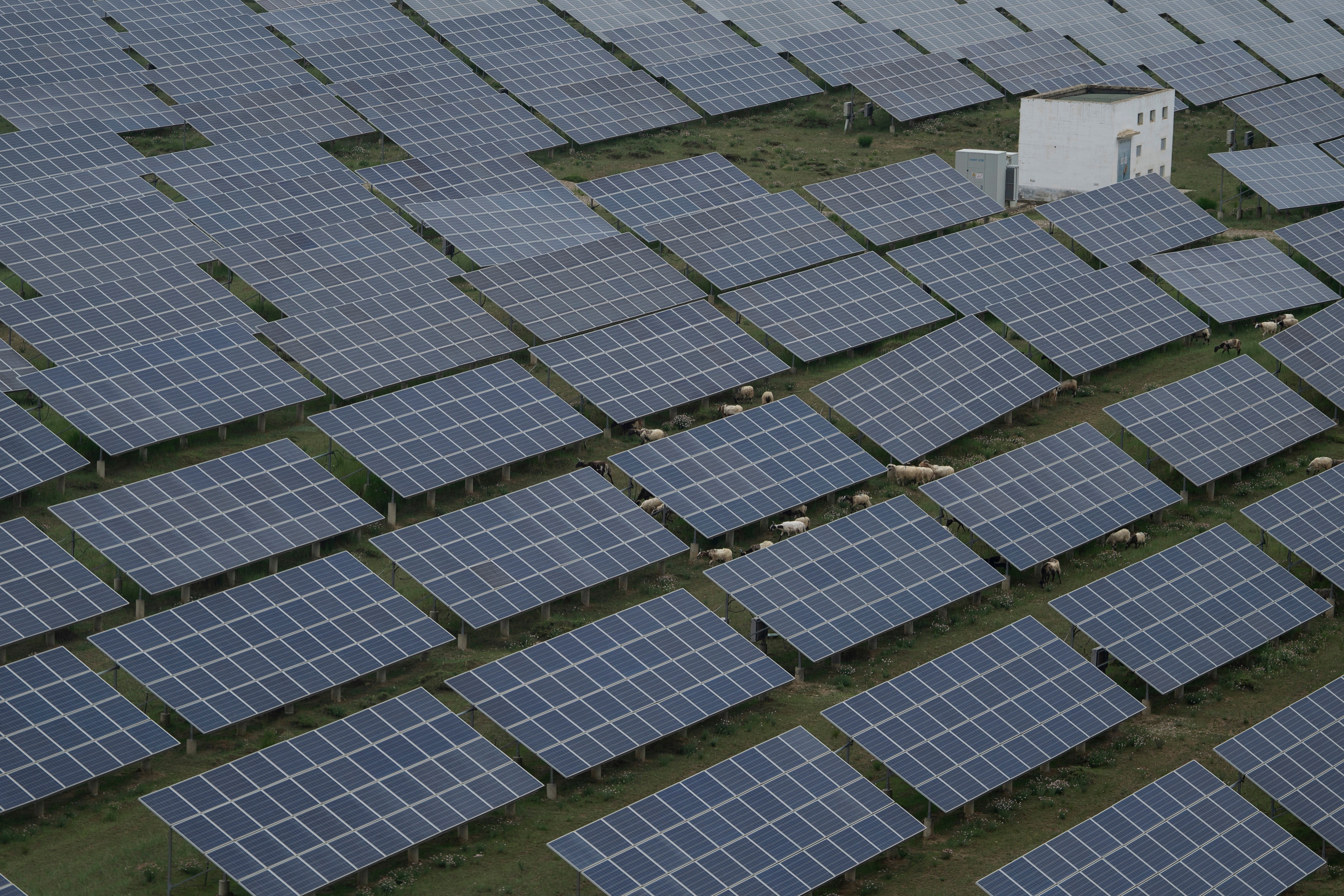 Climate UN Renewables