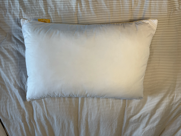 Best anti allergy pillow IndyBest review Brightr Nox vegan-down pillow
