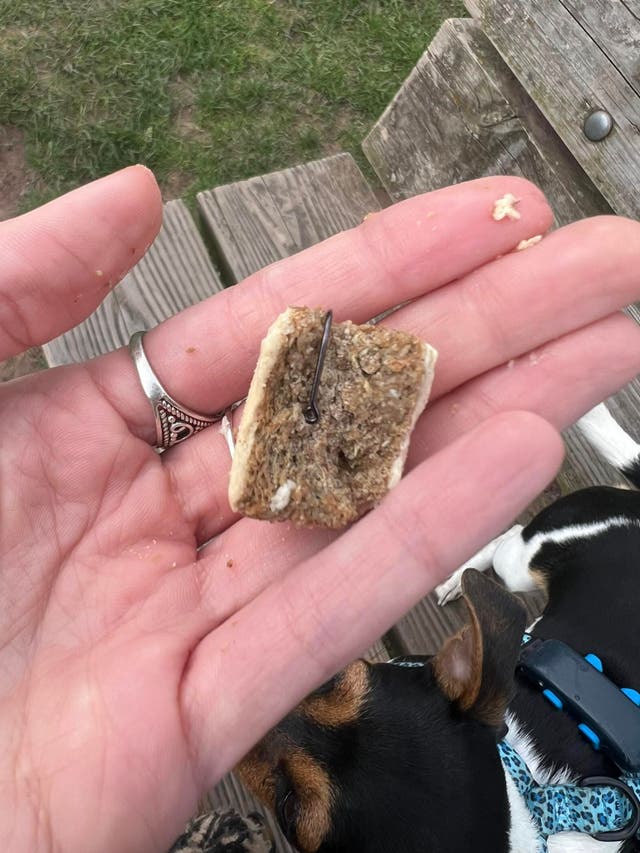 <p>Charley Meats posted on Abergavenny Voice Facebook Page images of the treats stuffed with fishhooks</p>