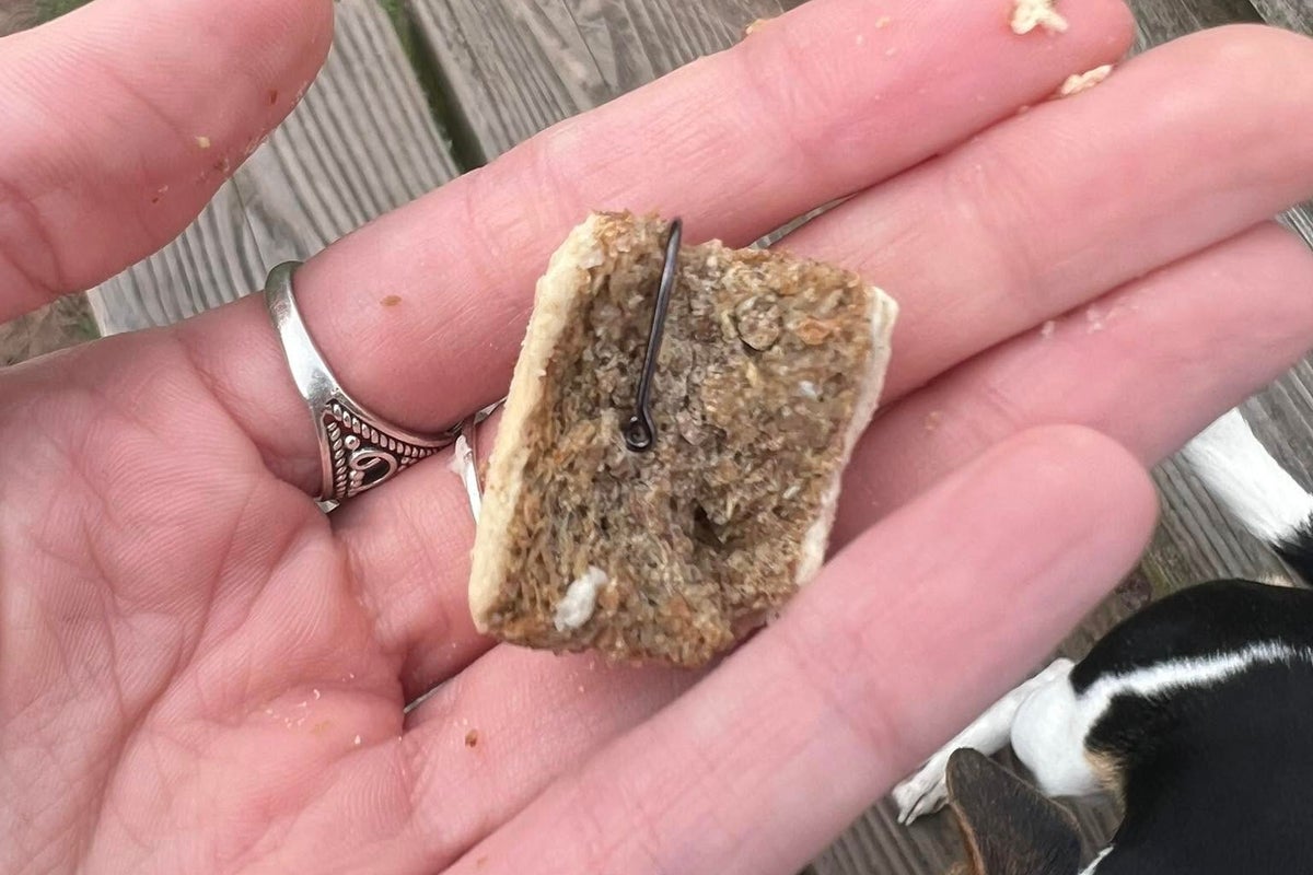 Police issue warning after dog treats laced with fishhooks found in popular walking spot