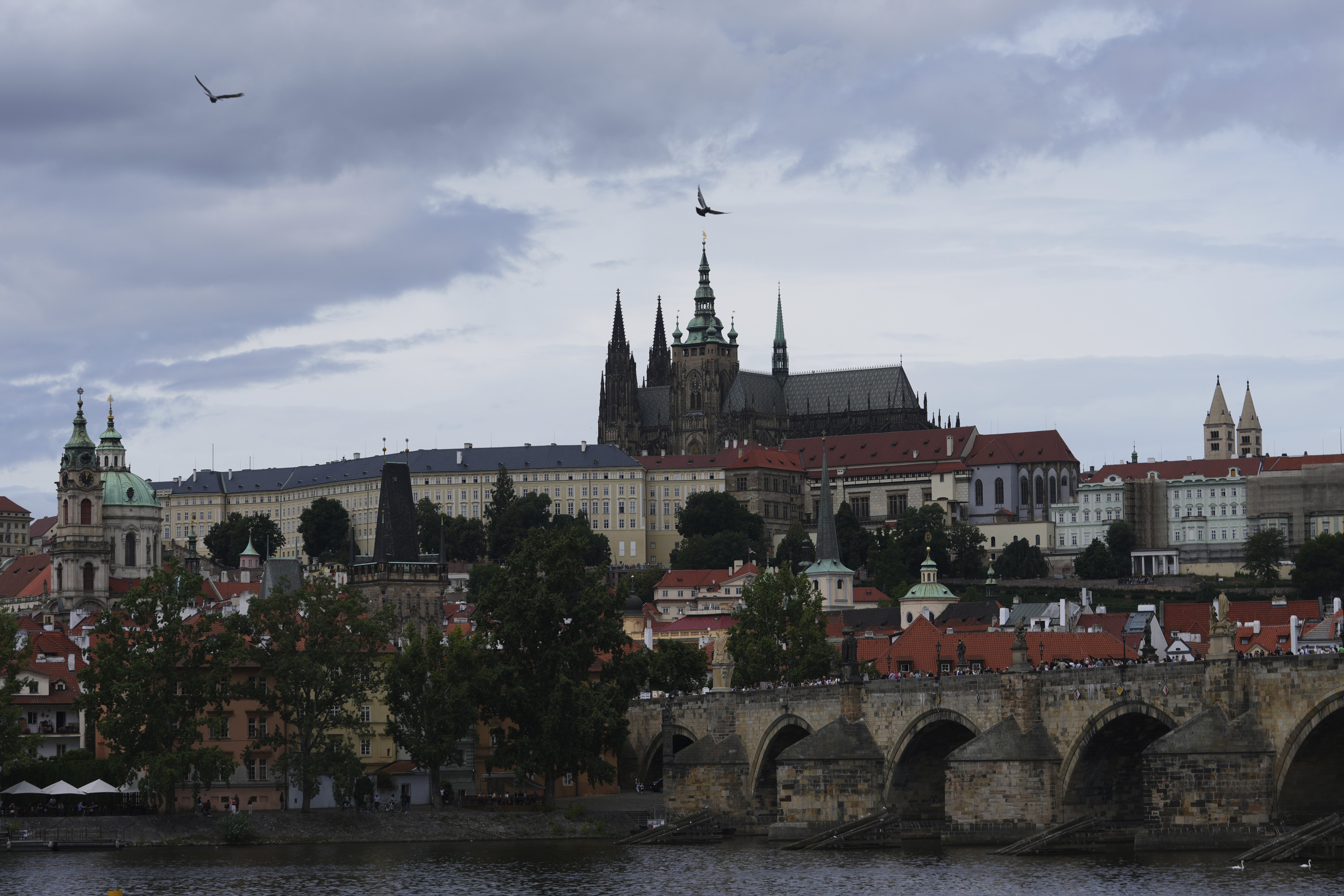 Czech Republic New Organ