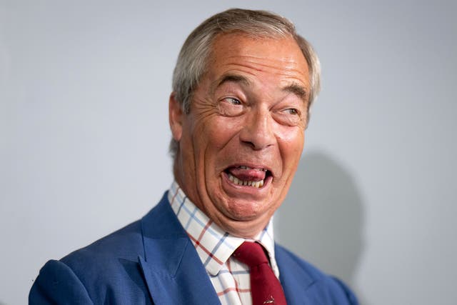 <p>Leader of Reform Nigel Farage</p>