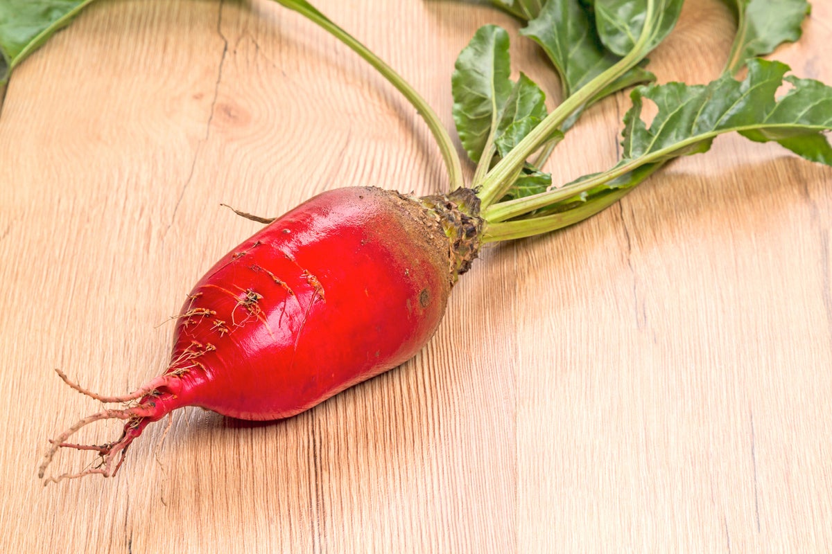 What you need to know about the latest viral vegetable sensation, the mangelwurzel