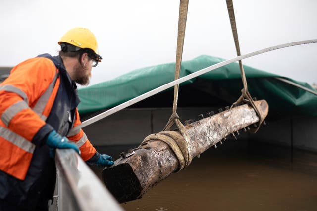 <p>Ben Saunders from Wessex Archaeology supervises the Sanday Wreck timbers as they are placed in a freshwater tank </p>