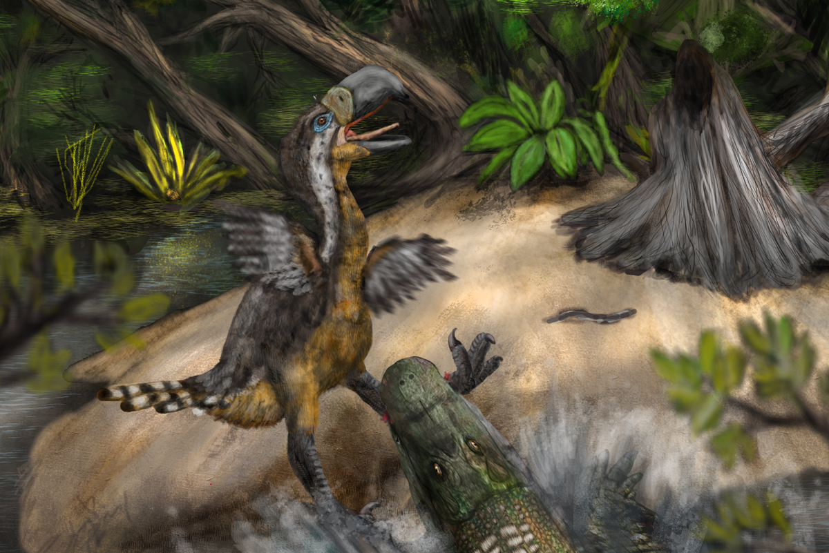 Teeth marks on fossil show ‘terror bird’ may have been killed in vicious battle with caiman 13 million years ago
