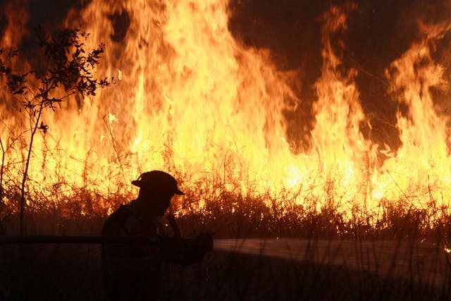 ASI-GEN INDONESIA-INCENDIOS-DETENCIONES