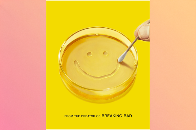 <p>The show stars Better Call Saul’s Rhea Seehorn </p>