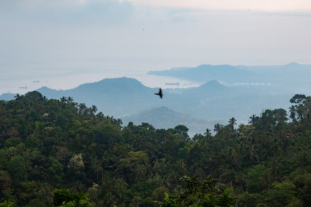 <p>Much of the true beauty of Bali can be found in the mountains</p>