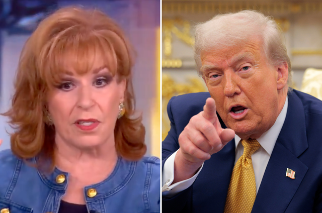 <p>The View's Joy Behar criticized President Trump, alleging he is 'so jealous of Obama'</p>