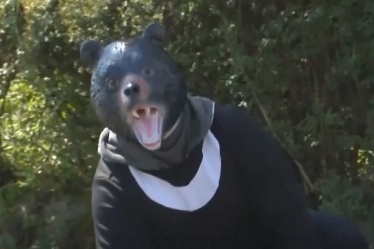 Man in bear costume chases residents in safety drill after deadly animal attack