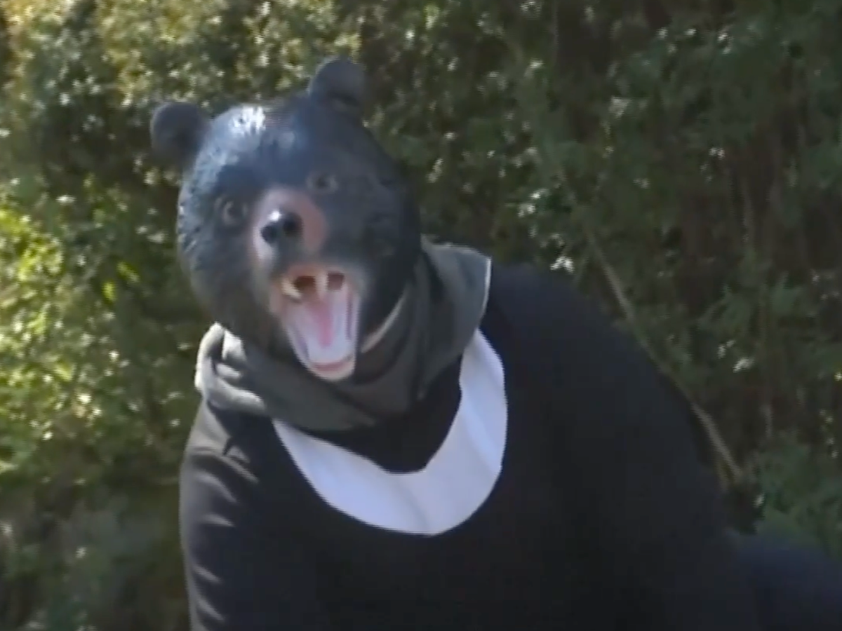 Man in bear costume chased in Japanese attack drill | News