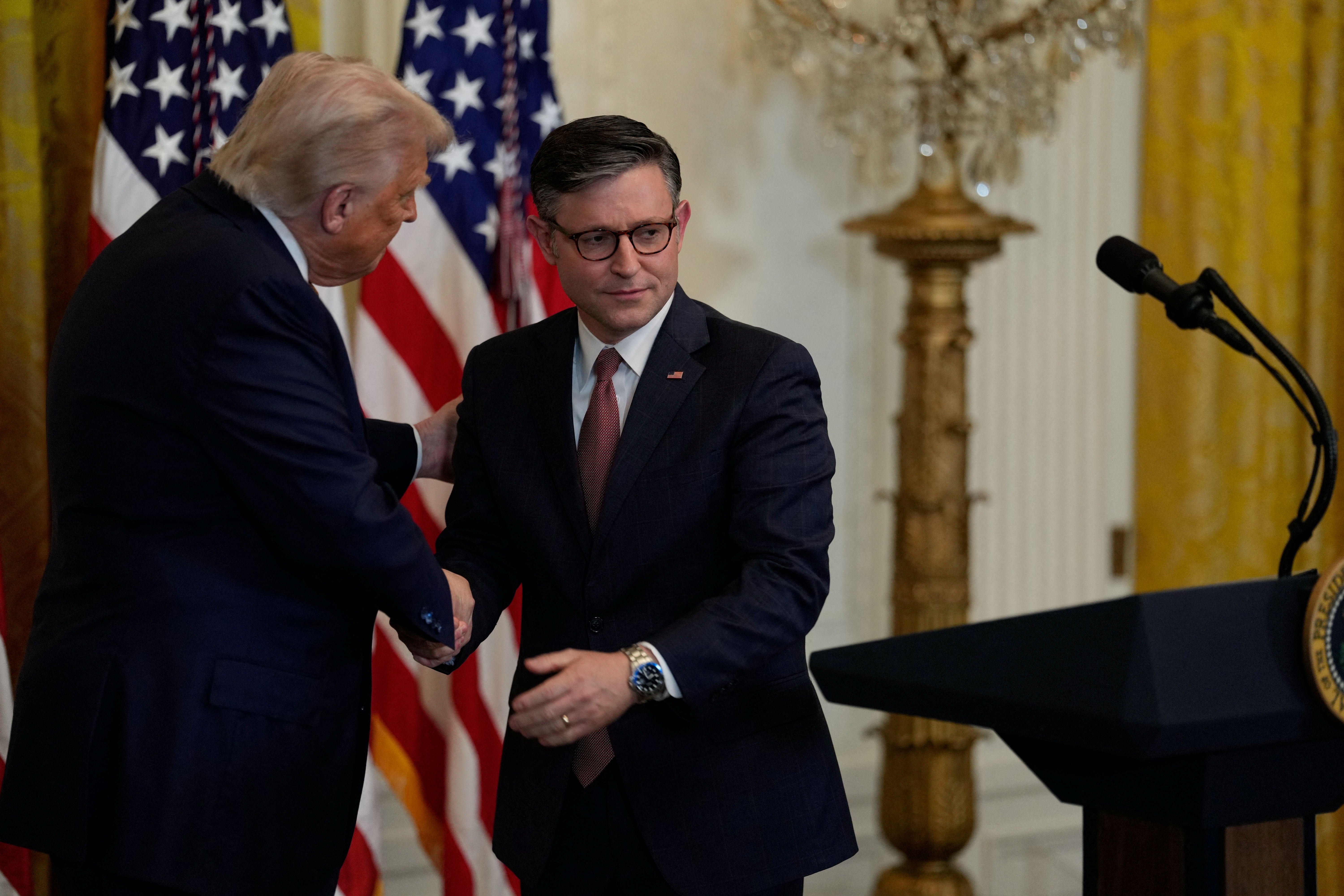 <p>Donald Trump and Mike Johnson could be divided over the issue of expanding IVF availability</p>