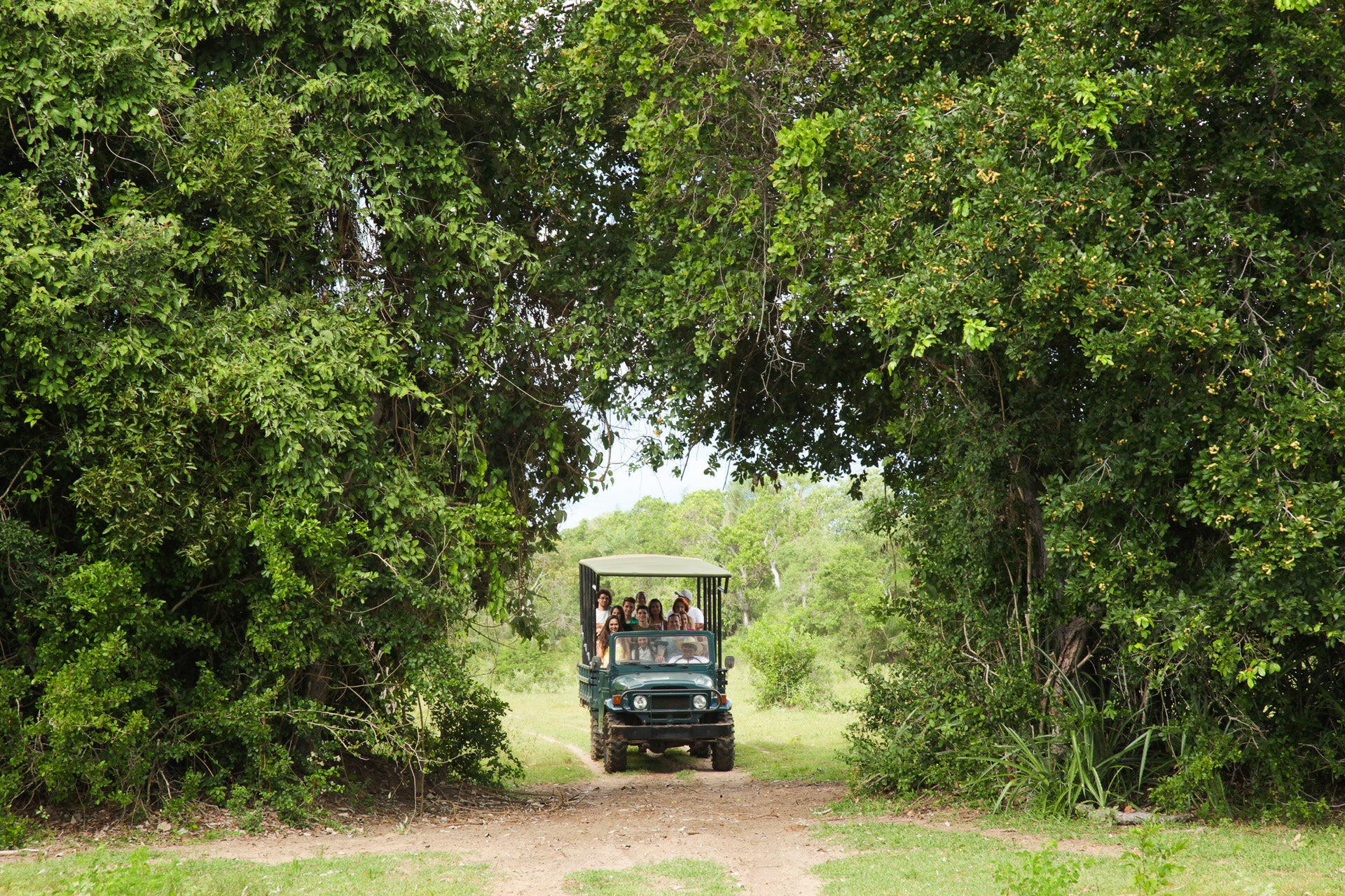 Jeep safaris in Brazil give visitors the chance to spot the country's own version of the 'Big Five'