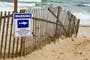 Majorca beach evacuated after elderly swimmer attacked by savage fish
