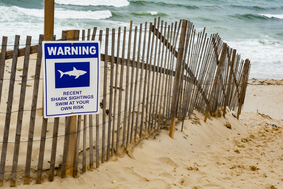 Majorca beach evacuated after elderly swimmer attacked by savage fish