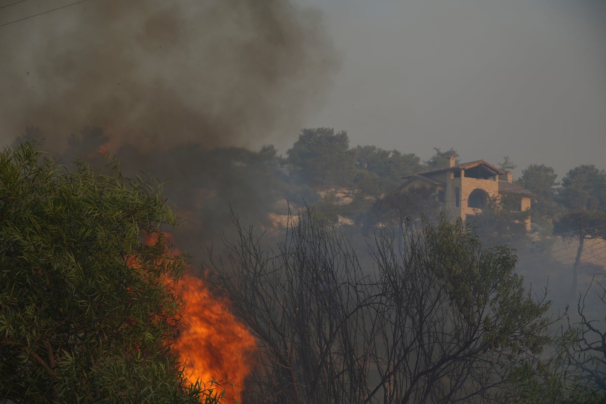 https://static.independent.co.uk/2025/07/24/06/Cyprus_Wildfire_68560.jpg?width=1200&height=800&crop=1200:800