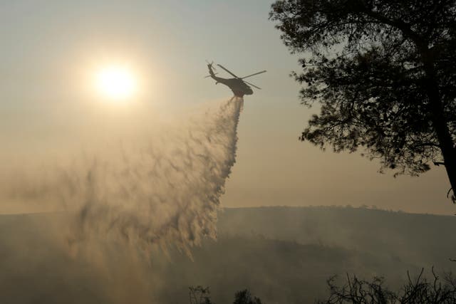<p>A helicopter drops water over a burned forest in Cyprus</p>