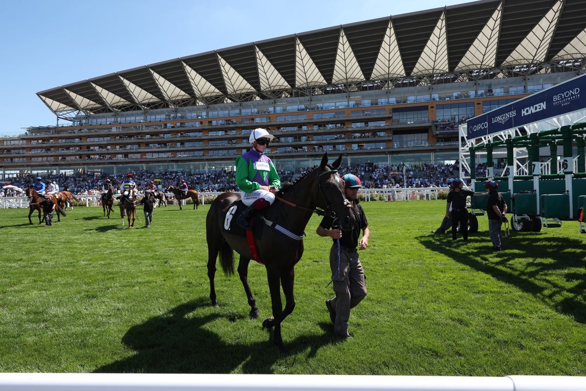 Friday’s racing tips: Preview, odds and best bets for Ascot, York, Thirsk and Sandown Park