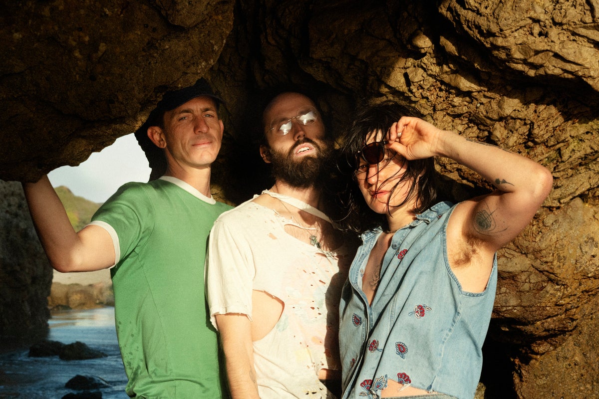 Big Thief: ‘Our bassist leaving was like a divorce... the change is very significant’