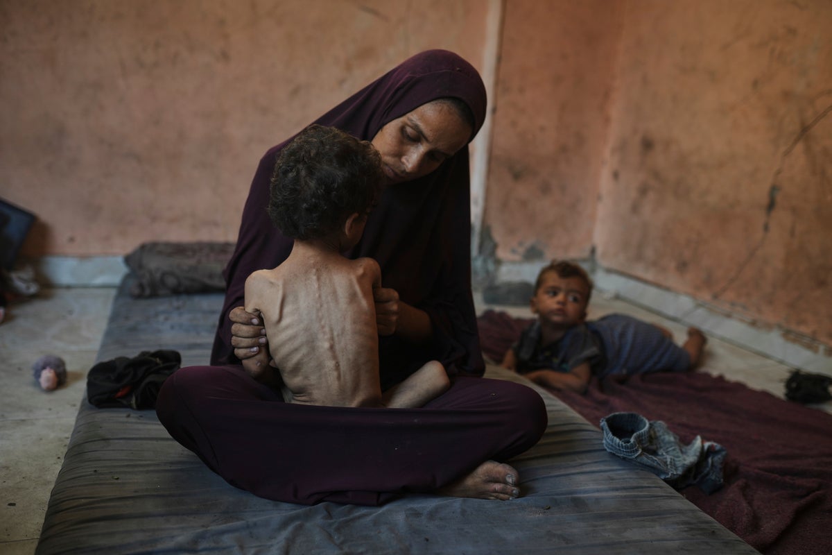 At least 28 adults and 20 children starve to death in July as Gaza hunger crisis deepens