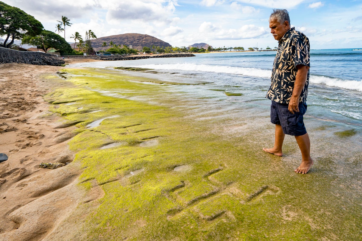 Mystery petroglyphs dating back at least 500 years reappear on public beach
