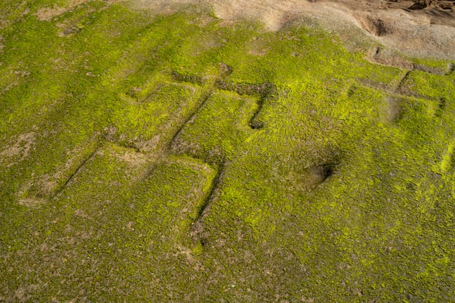 <p>A close-up shows two of several human-shaped petroglyphs carved into the rock at Pokai Bay, Waianae, Hawaii. </p>