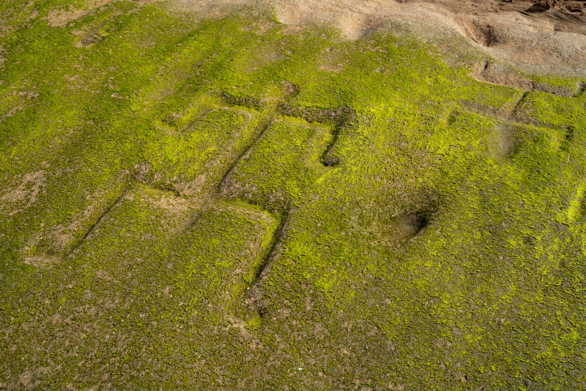 https://static.independent.co.uk/2025/07/25/05/US_Petroglyphs_Hawaii_49851.jpg?width=1200&height=800&crop=1200:800