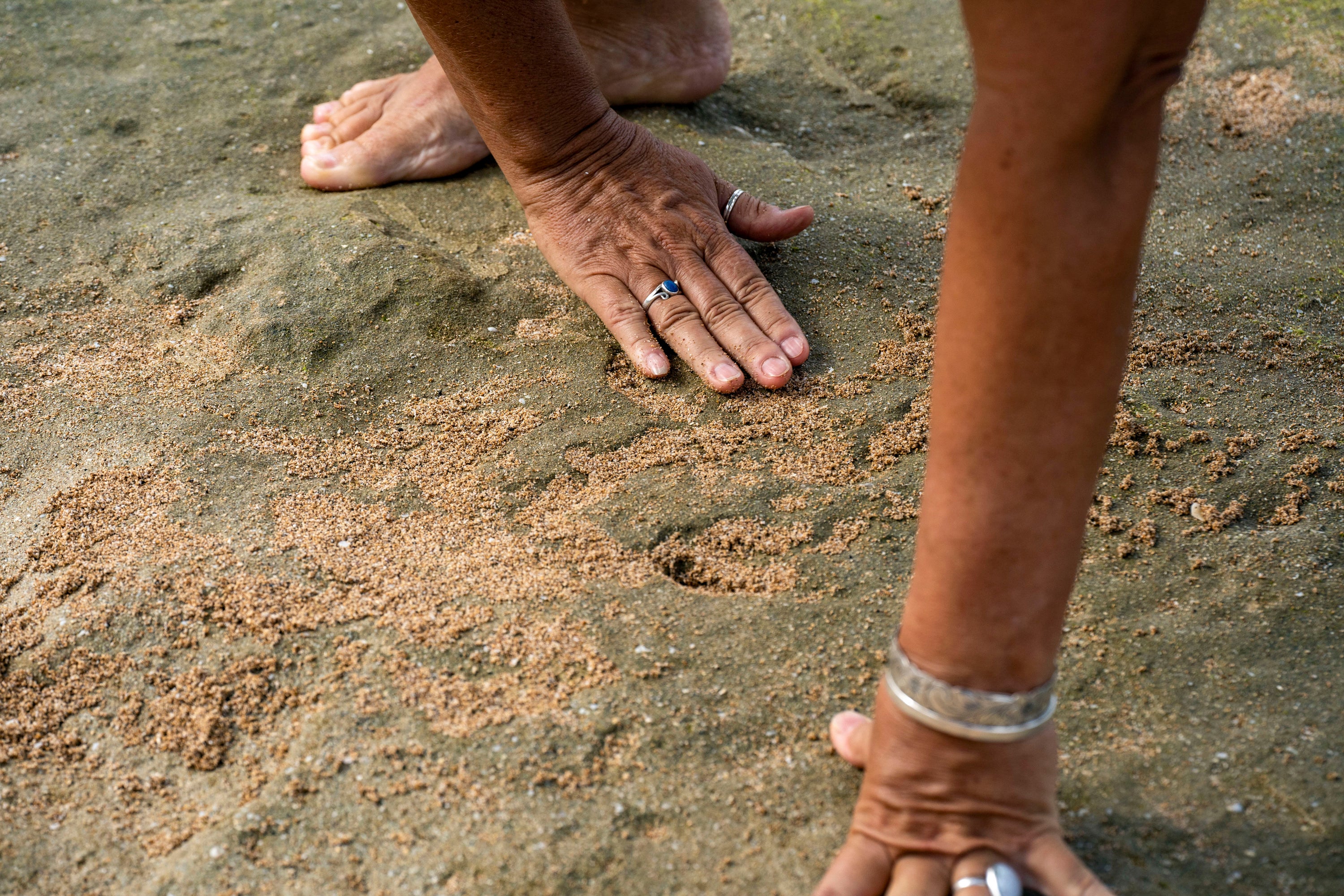 Die Archäologe Laura Gilda von der US -Armee Garnison Hawaii Environmental Division füllt ein Petroglyphe mit Sand, um seine Form während der Ebbe in Pokai Bay am 22. Juli 2025 in Waianae, Hawaii, sichtbar zu gestalten. (AP Photo/Mengshin Lin)