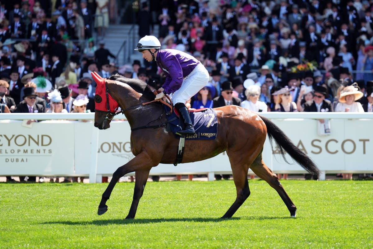Saturday’s racing tips: Preview, best bets and odds for Ascot and York