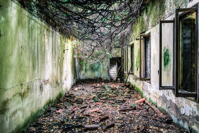 <p>A ruined building lies crumbling on the abandoned and supposedly haunted Poveglia Island in Italy</p>
