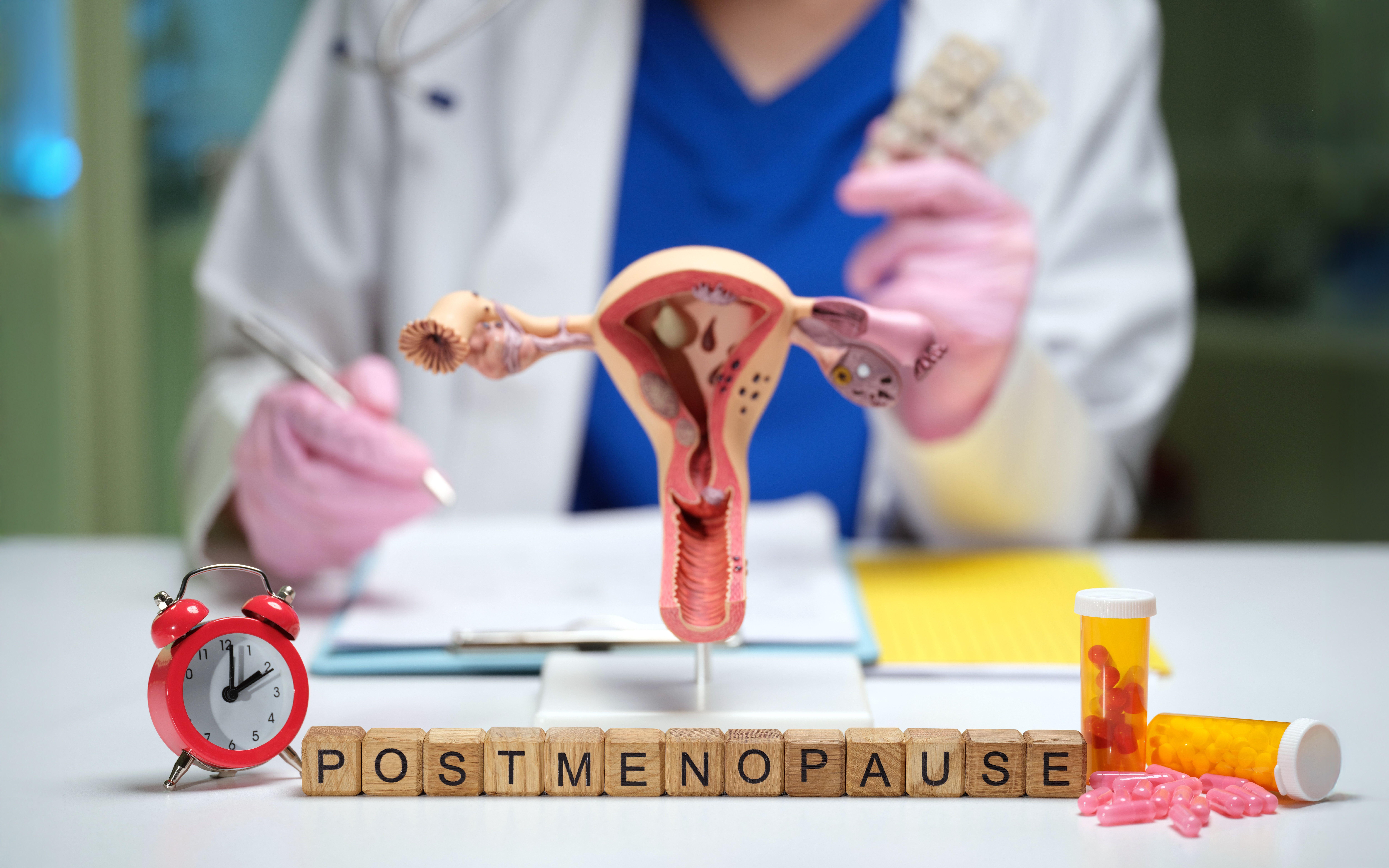 A woman enters postmenopause when they have had 12 consecutive months without a period