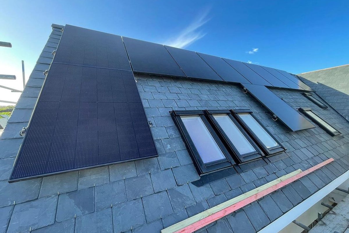 Perlight Black Grid solar panel review: best for long warranty