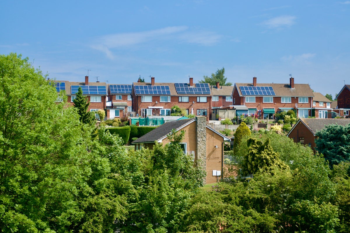 Martin Lewis reveals green way to save hundreds on your energy bills