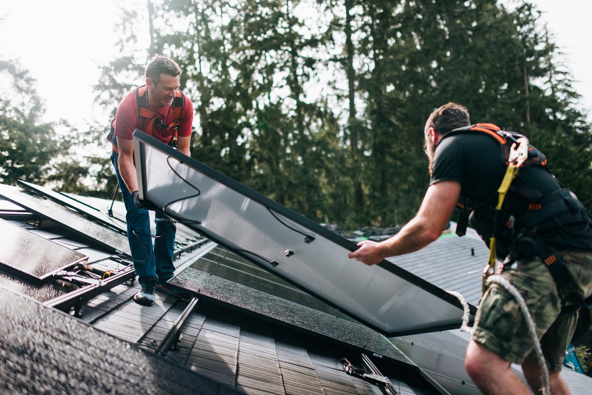 Martin Lewis issues solar panel savings tips for households