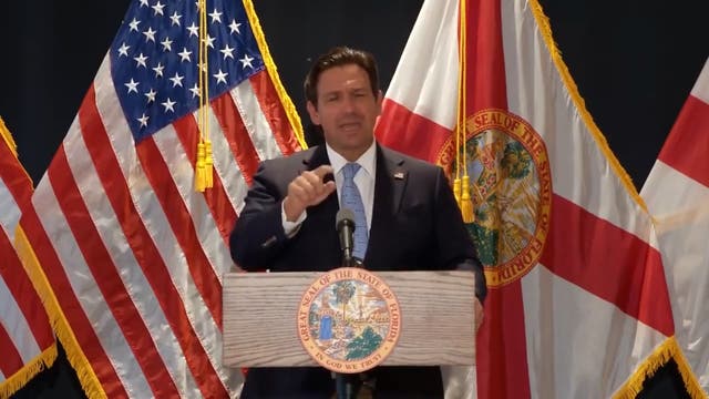 <p>Ron DeSantis's Hulk Hogan tribute interrupted by Alligator Alcatraz protester</p>